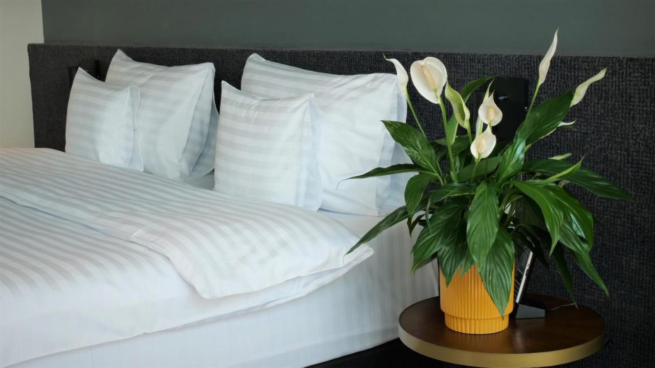 WERK Hotel&SPA Hunedoara Eksteriør billede